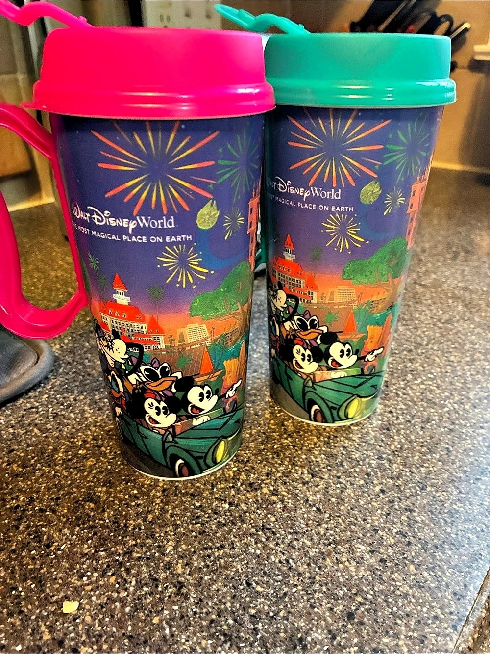 Disney Walt Disney World Tumbler Set of 2 Pink & Turquoise